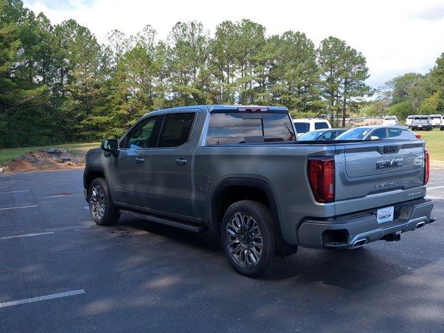 2025 GMC Sierra 1500 Vehicle Photo in ALBERTVILLE, AL 35950-0246