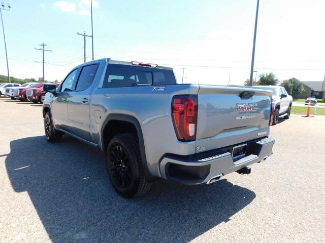 2025 GMC Sierra 1500 Vehicle Photo in GATESVILLE, TX 76528-2745