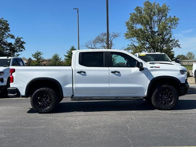 2023 Chevrolet Silverado 1500 Vehicle Photo in COLUMBIA, MO 65203-3903