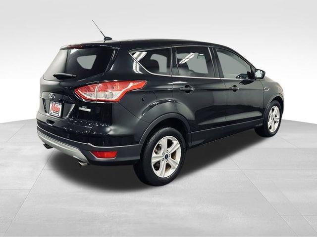 2013 Ford Escape Vehicle Photo in MEDINA, OH 44256-9631