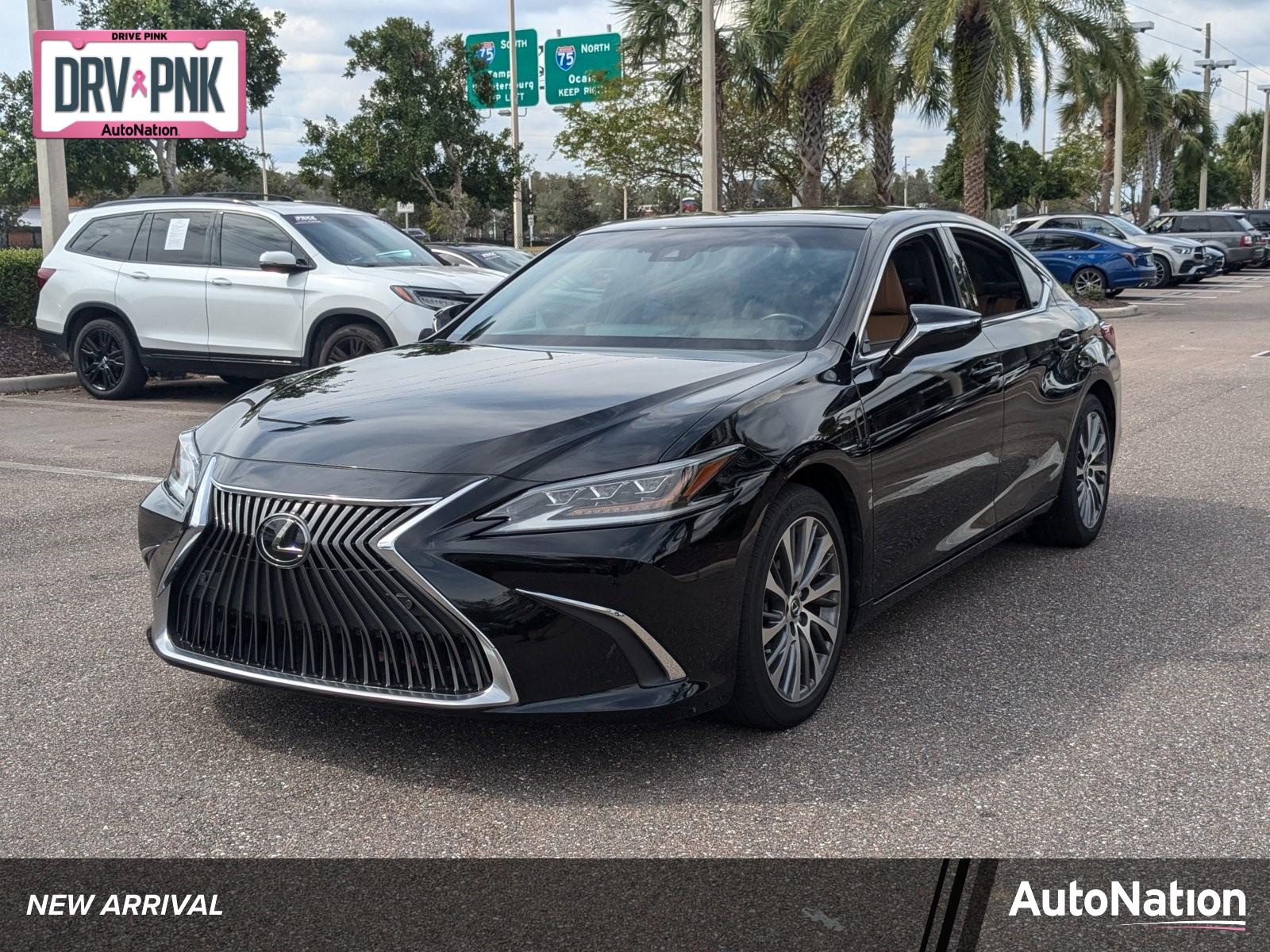 2019 Lexus ES 350 Vehicle Photo in Wesley Chapel, FL 33544