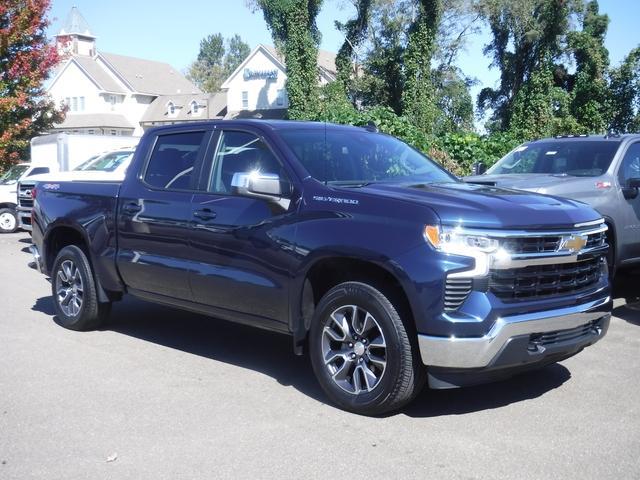 2022 Chevrolet Silverado 1500 Vehicle Photo in JASPER, GA 30143-8655