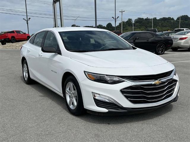 2020 Chevrolet Malibu Vehicle Photo in ALCOA, TN 37701-3235