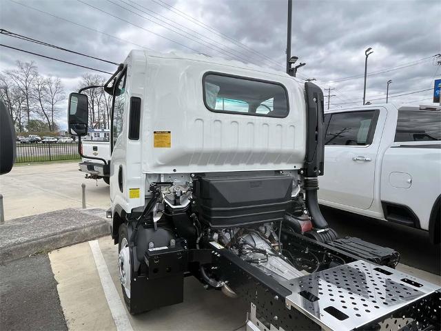 2024 Chevrolet Low Cab Forward 4500 Vehicle Photo in ALCOA, TN 37701-3235