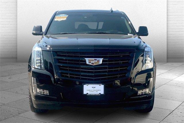 2019 Cadillac Escalade Vehicle Photo in TOPEKA, KS 66609-0000