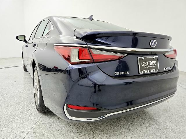 2019 Lexus ES 300h Vehicle Photo in Grapevine, TX 76051