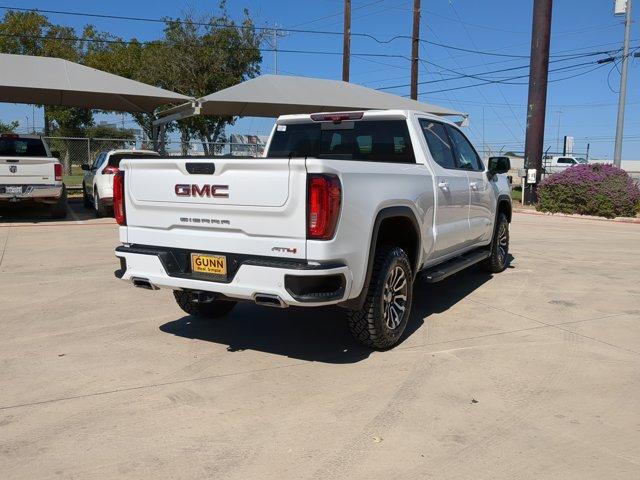 2020 GMC Sierra 1500 Vehicle Photo in SELMA, TX 78154-1459