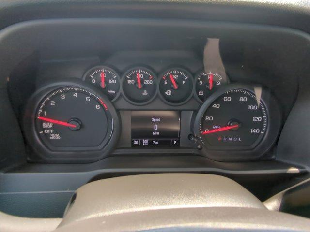 2024 GMC Sierra 1500 Vehicle Photo in ALBERTVILLE, AL 35950-0246