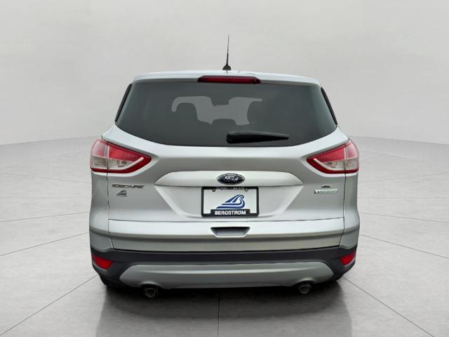 2014 Ford Escape Vehicle Photo in Oshkosh, WI 54904