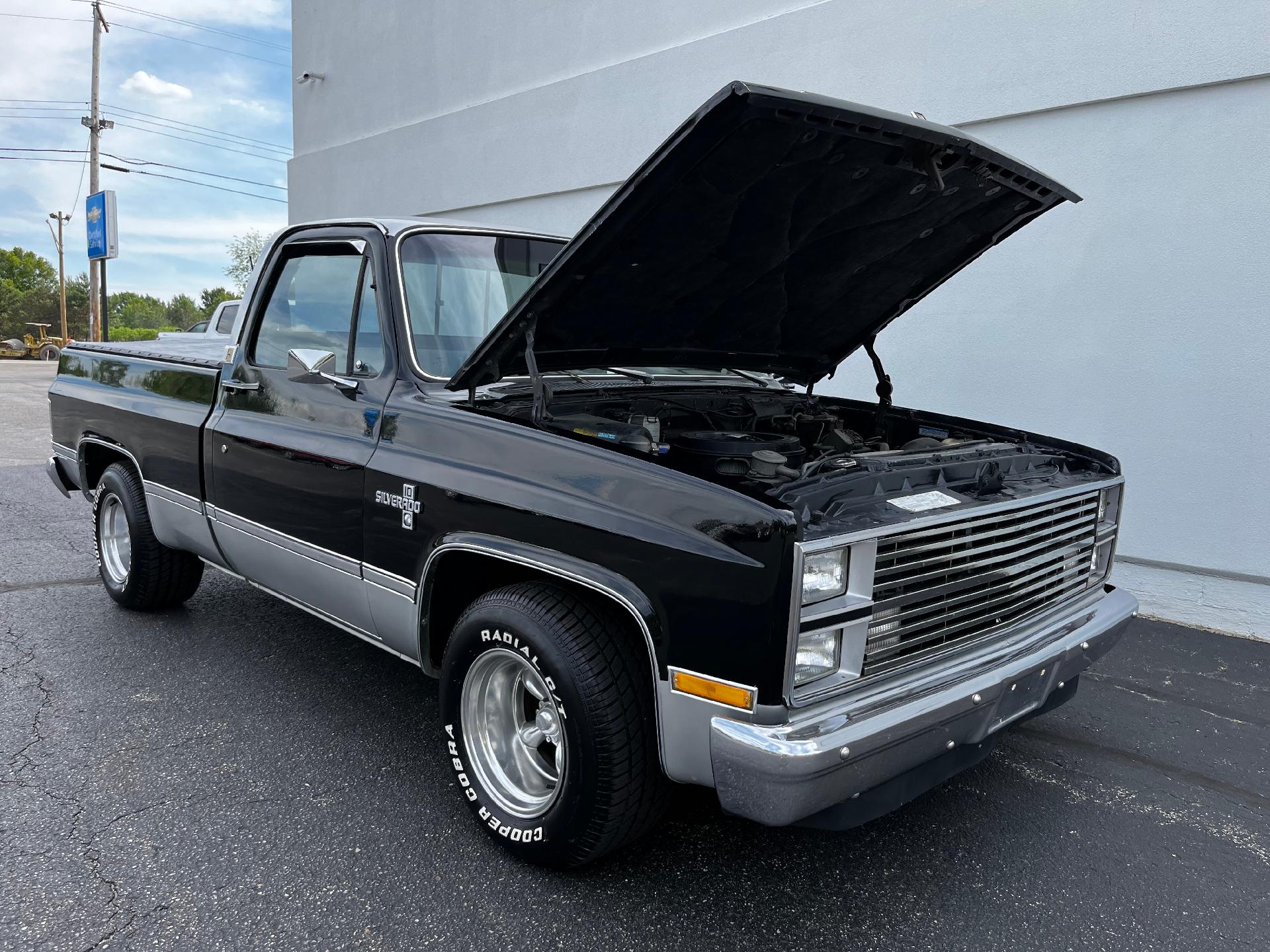 1984 Chevrolet Pickup Vehicle Photo in CLARE, MI 48617-9414