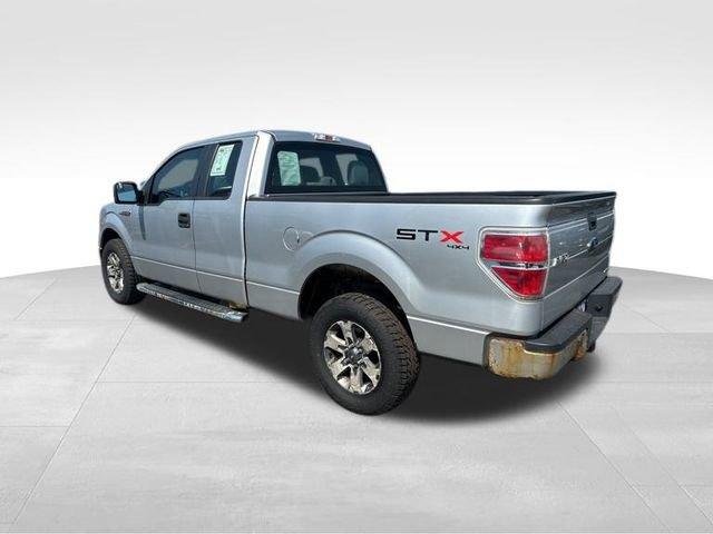 2013 Ford F-150 Vehicle Photo in MEDINA, OH 44256-9631