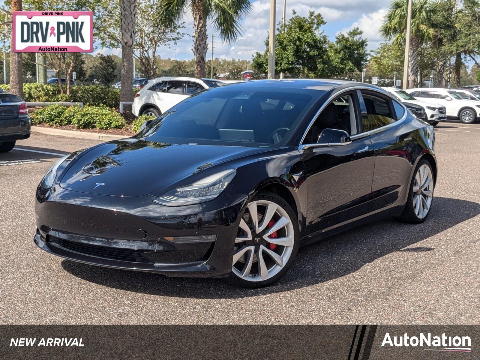 2018 Tesla Model 3 Vehicle Photo in Wesley Chapel, FL 33544