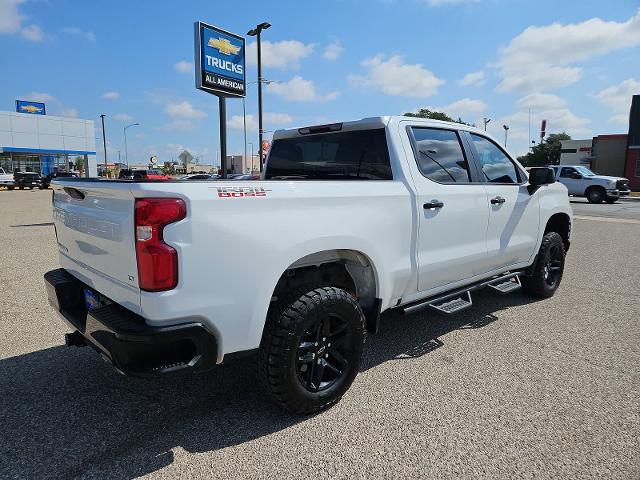 2020 Chevrolet Silverado 1500 Vehicle Photo in SAN ANGELO, TX 76903-5798