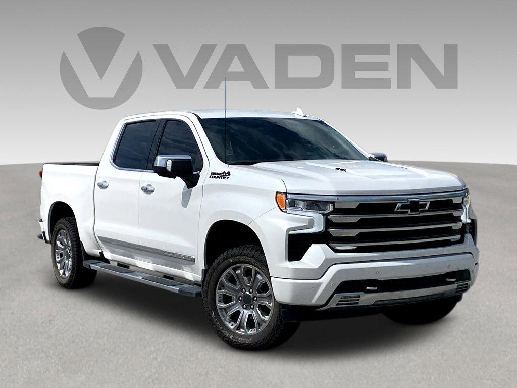 2023 Chevrolet Silverado 1500 Vehicle Photo in POOLER, GA 31322-3252