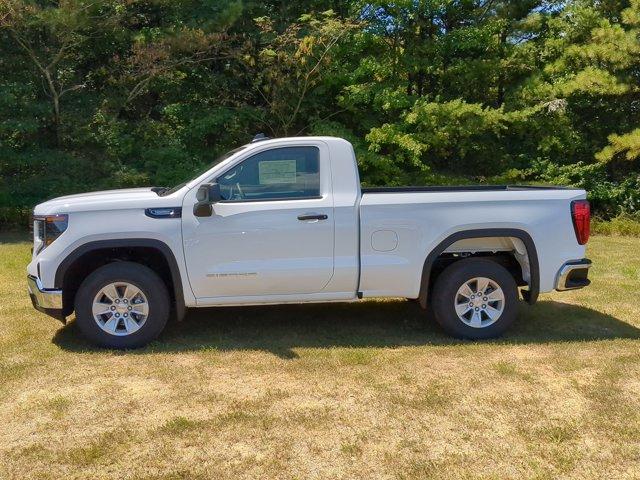 2024 GMC Sierra 1500 Vehicle Photo in ALBERTVILLE, AL 35950-0246