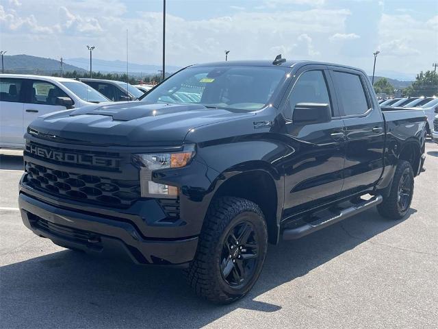 2024 Chevrolet Silverado 1500 Vehicle Photo in ALCOA, TN 37701-3235