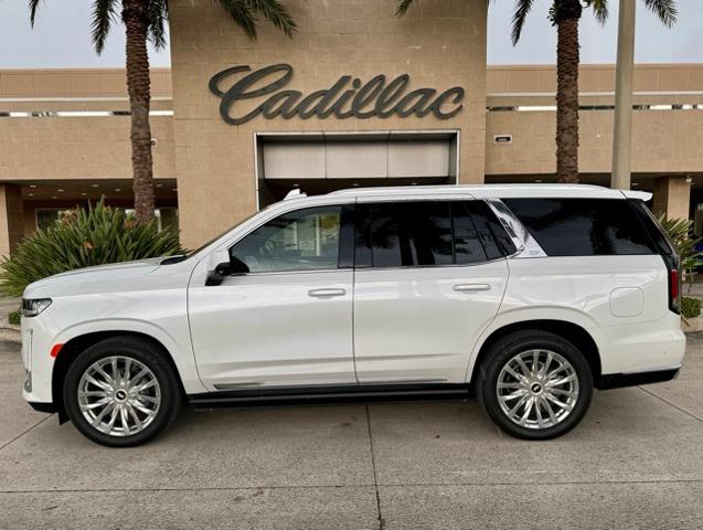 2023 Cadillac Escalade Vehicle Photo in DELRAY BEACH, FL 33483-3294