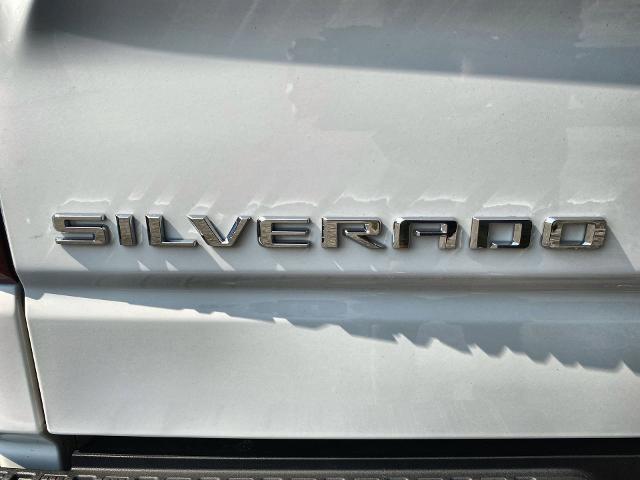 2022 Chevrolet Silverado 1500 Vehicle Photo in WILLIAMSVILLE, NY 14221-2883