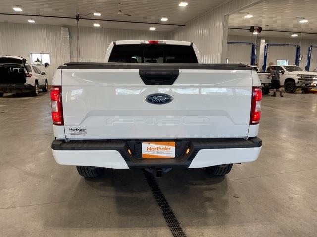 2020 Ford F-150 Vehicle Photo in GLENWOOD, MN 56334-1123