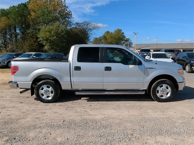 2013 Ford F-150 Vehicle Photo in ALBERTVILLE, AL 35950-0246