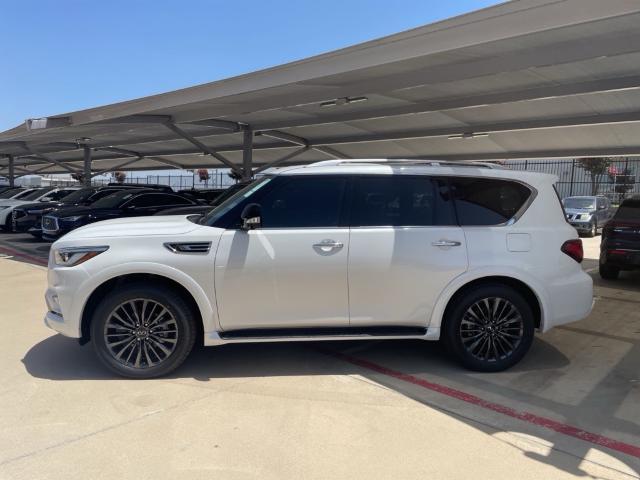 2024 INFINITI QX80 Vehicle Photo in Grapevine, TX 76051