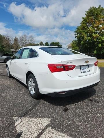 2025 Chevrolet Malibu Vehicle Photo in SAUK CITY, WI 53583-1301