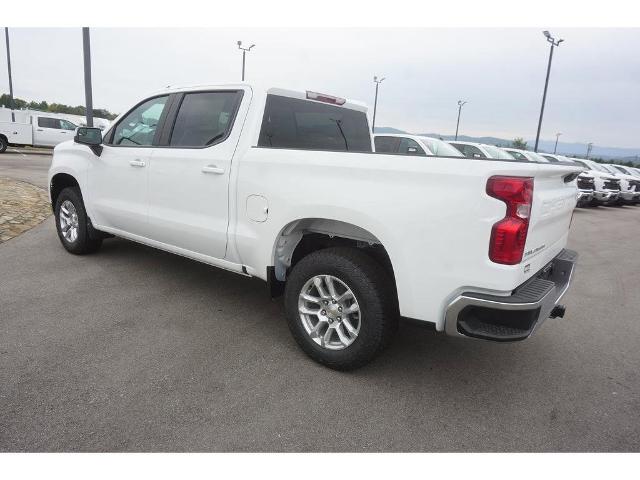 2023 Chevrolet Silverado 1500 Vehicle Photo in ALCOA, TN 37701-3235