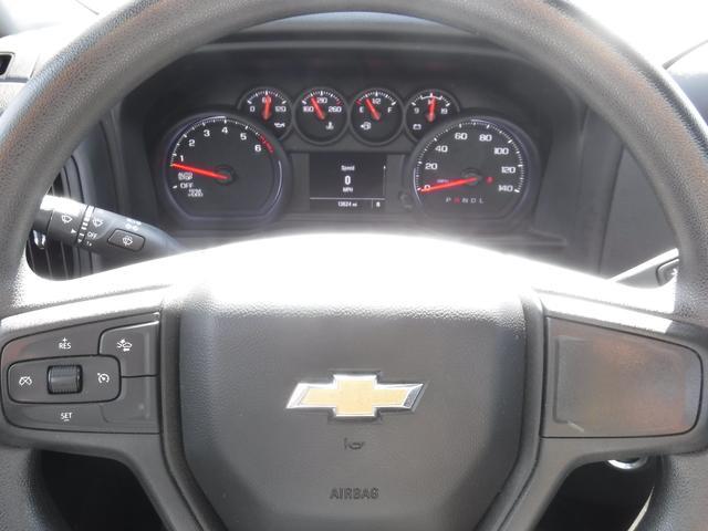 2023 Chevrolet Silverado 1500 Vehicle Photo in JASPER, GA 30143-8655