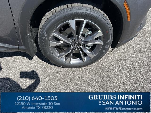 2024 INFINITI QX60 Vehicle Photo in San Antonio, TX 78230