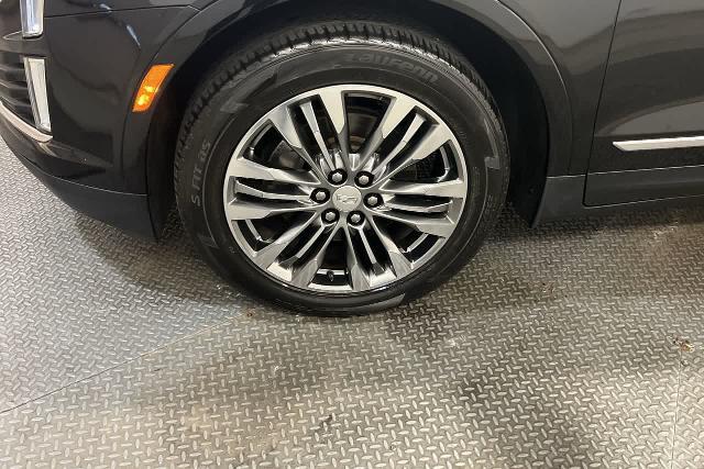 2019 Cadillac XT5 Vehicle Photo in INDIANAPOLIS, IN 46227-0991