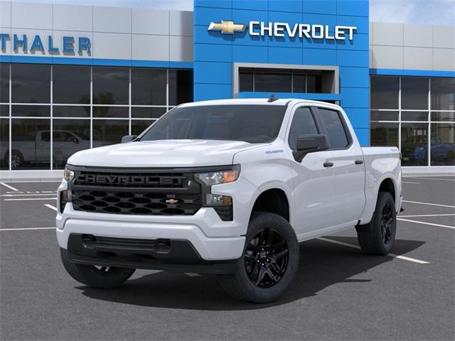 2024 Chevrolet Silverado 1500 Vehicle Photo in GLENWOOD, MN 56334-1123