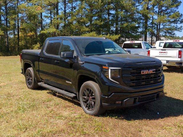 2024 GMC Sierra 1500 Vehicle Photo in ALBERTVILLE, AL 35950-0246