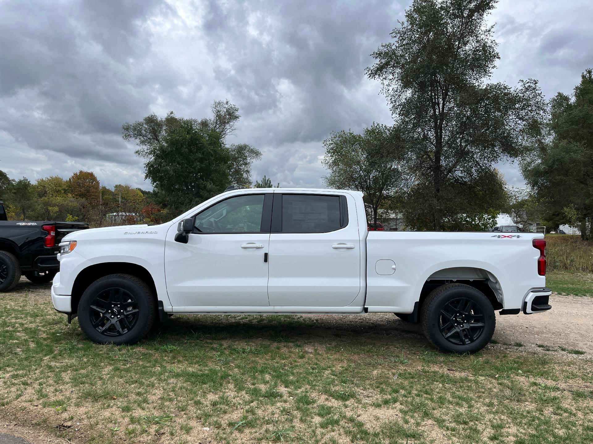 2025 Chevrolet Silverado 1500 Vehicle Photo in CLARE, MI 48617-9414