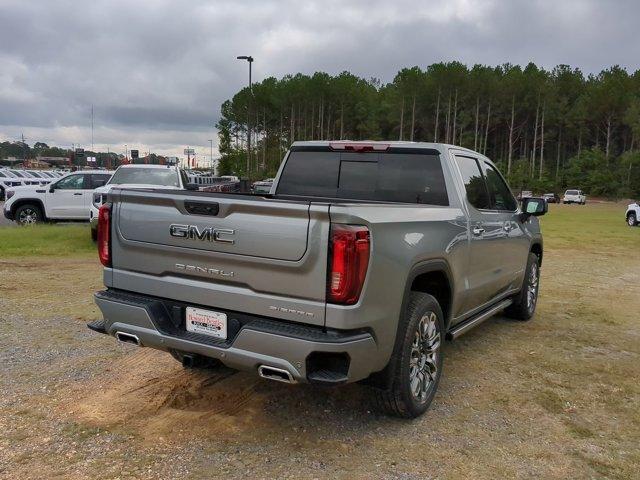 2025 GMC Sierra 1500 Vehicle Photo in ALBERTVILLE, AL 35950-0246