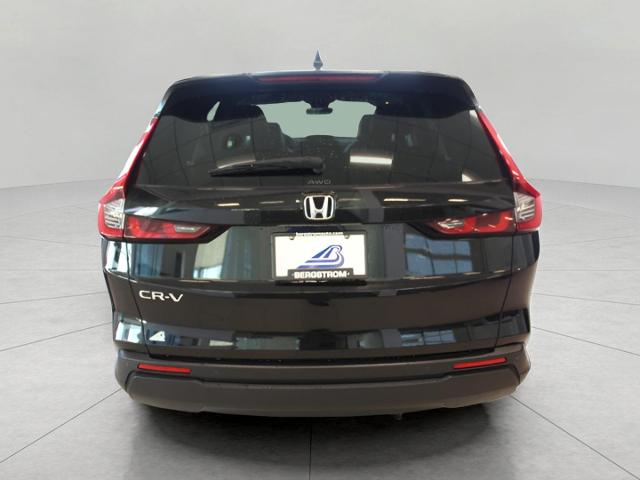 2023 Honda CR-V Vehicle Photo in Green Bay, WI 54304