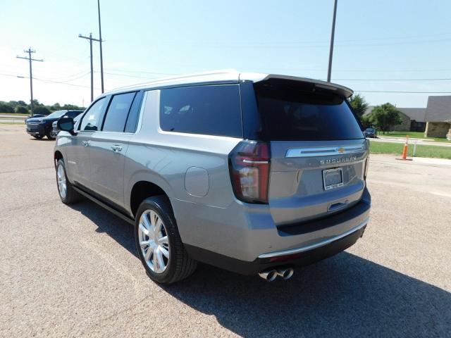 2024 Chevrolet Suburban Vehicle Photo in GATESVILLE, TX 76528-2745