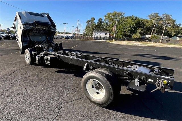 2025 Chevrolet Low Cab Forward 4500 HD Vehicle Photo in INDEPENDENCE, MO 64055-1314