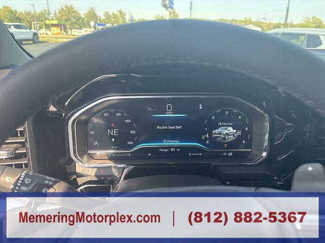 2025 Chevrolet Silverado 1500 Vehicle Photo in VINCENNES, IN 47591-5519