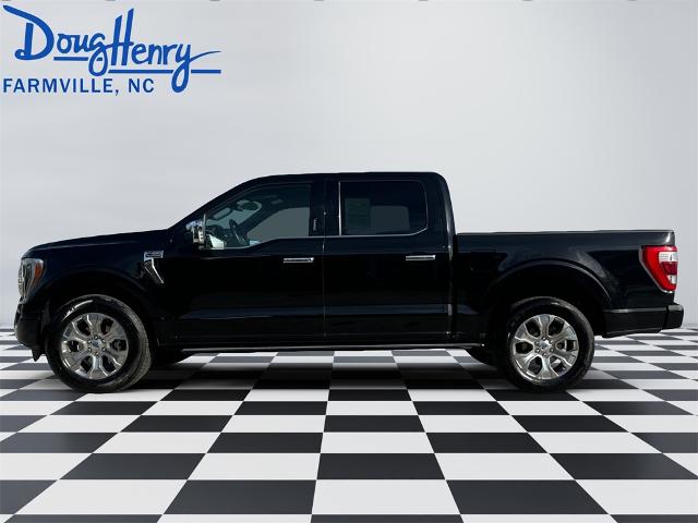 Used 2023 Ford F-150 XL with VIN 1FTEW1C89PFA84192 for sale in Farmville, NC