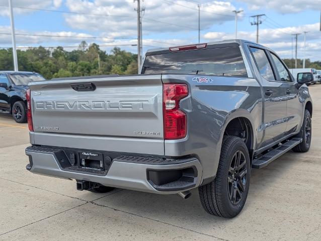 2024 Chevrolet Silverado 1500 Vehicle Photo in POMEROY, OH 45769-1023