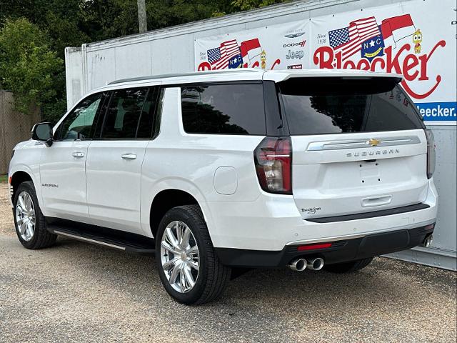 2024 Chevrolet Suburban Vehicle Photo in DUNN, NC 28334-8900