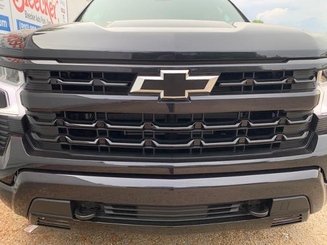 2024 Chevrolet Silverado 1500 Vehicle Photo in DUNN, NC 28334-8900