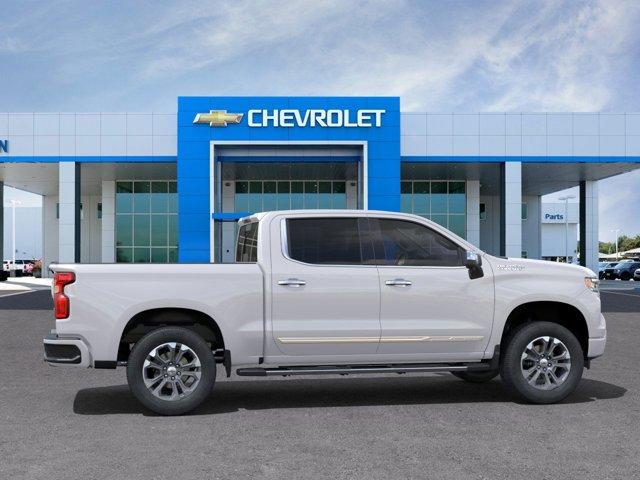 2025 Chevrolet Silverado 1500 Vehicle Photo in SELMA, TX 78154-1460