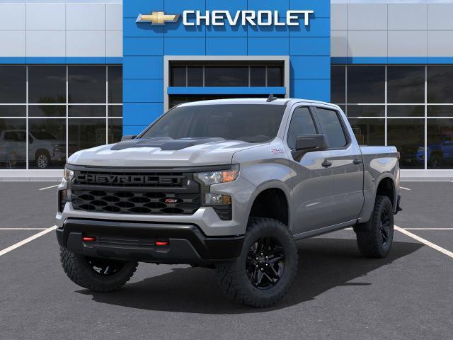 2024 Chevrolet Silverado 1500 Vehicle Photo in AMARILLO, TX 79106-1809