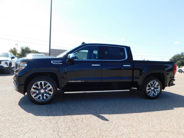 2025 GMC Sierra 1500 Vehicle Photo in Weatherford, TX 76087