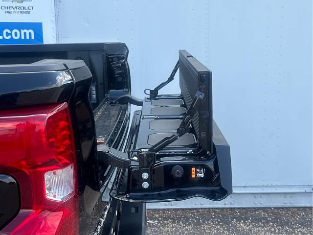 2024 Chevrolet Silverado 1500 Vehicle Photo in DUNN, NC 28334-8900