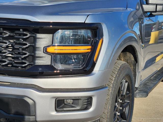 2024 Ford F-150 Vehicle Photo in Pilot Point, TX 76258-6053