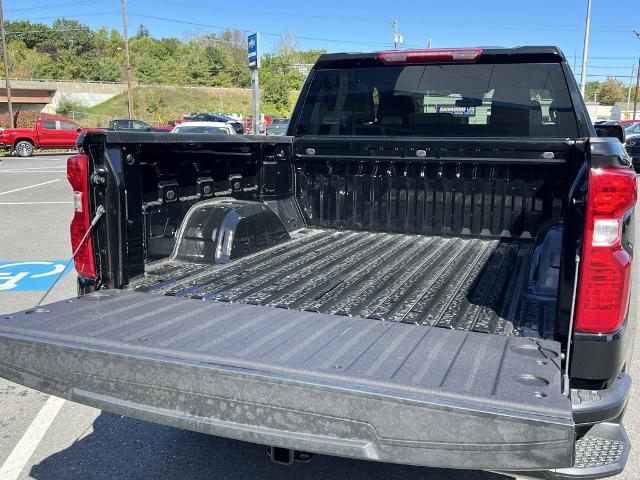 2024 Chevrolet Silverado 1500 Vehicle Photo in GARDNER, MA 01440-3110