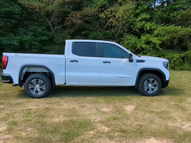 2024 GMC Sierra 1500 Vehicle Photo in ALBERTVILLE, AL 35950-0246