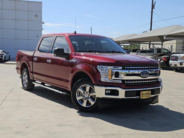 2019 Ford F-150 Vehicle Photo in SELMA, TX 78154-1459